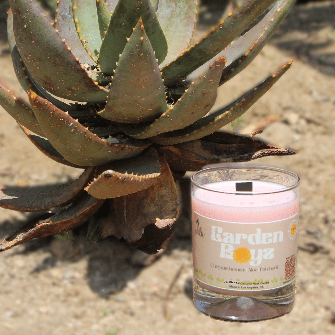 Garden Boyz - TAP Candle Company